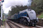nymr_g9.jpg (43489 bytes)