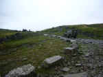 dales3.jpg (124603 bytes)